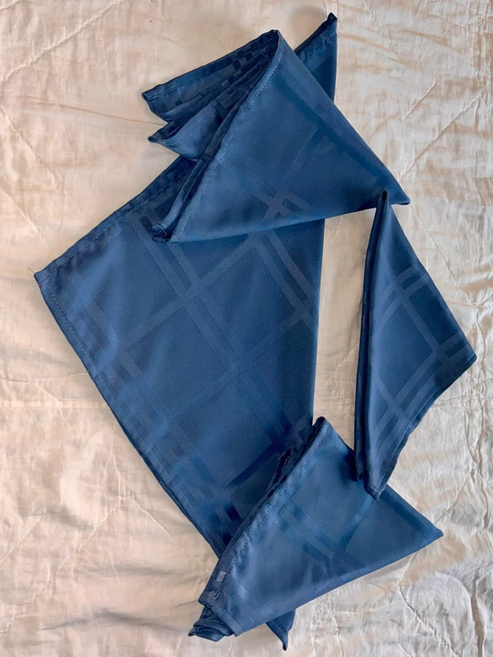 Set of 4 Cornflower Blue Windowpane Napkins - 19